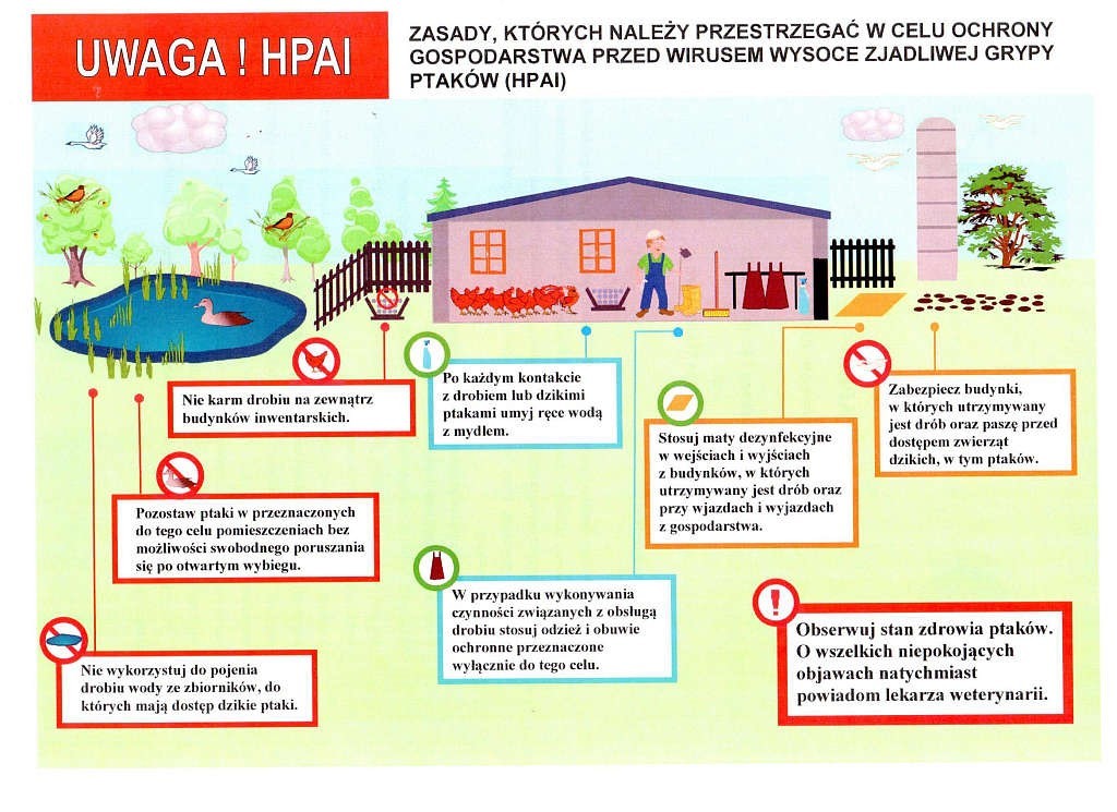 HPAI-info