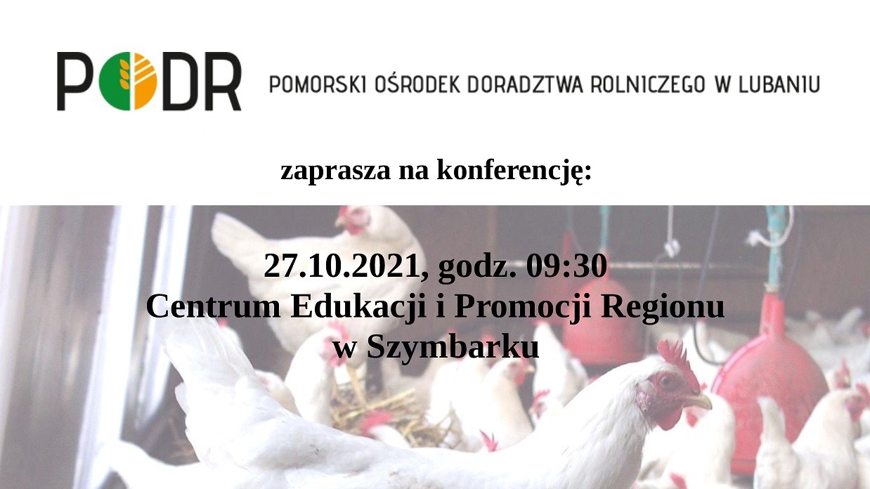 plakat - miniaturka