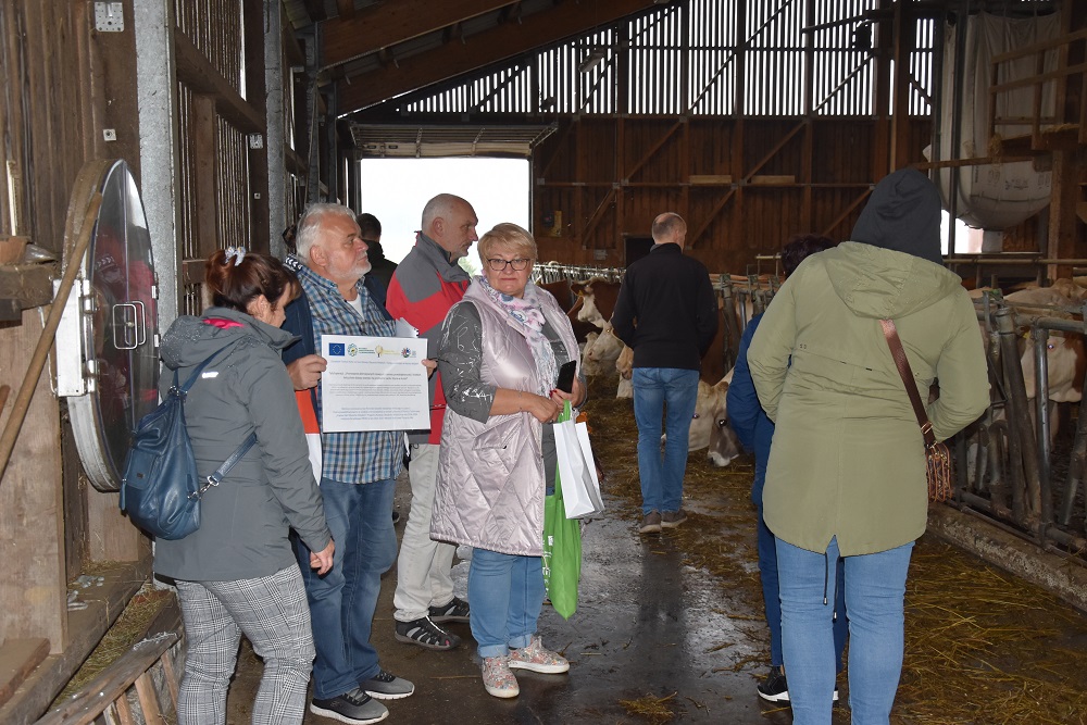 Wizyta w gospodarstwie Zehenthof - BIO, gdzie jest prowadzona rodzina hodowla krów na mięso wysokiej jakości