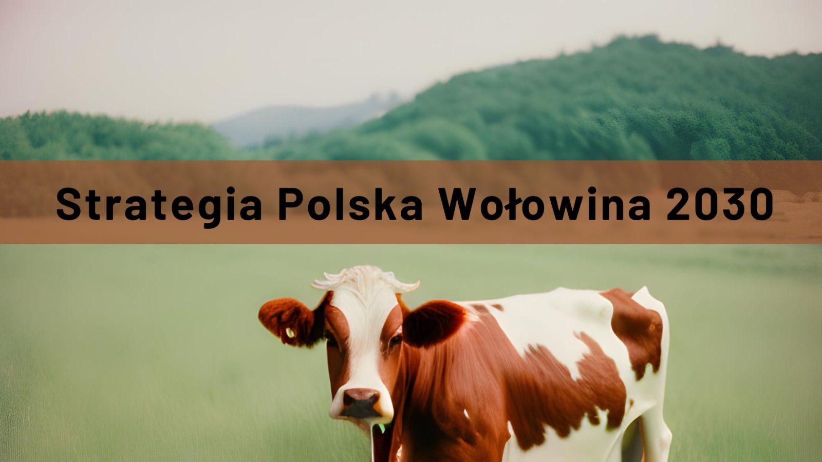 Kafelek - Strategia Polska Wołowina 2030