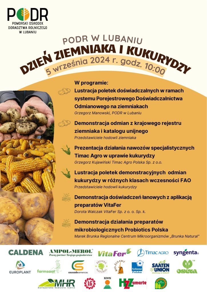 Plakat zapraszający na dzień ziemniaka i kukurydzy w Lubaniu