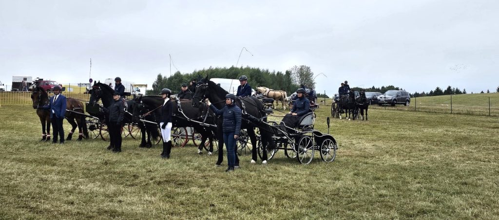 Finał zwodów w powożeniu. Zaprzęgi jednokonne ustawiają się w rzędzie do ogłoszenia wyników. Przy koniach stoją luzacy. W bryczkach siedzą powożący.