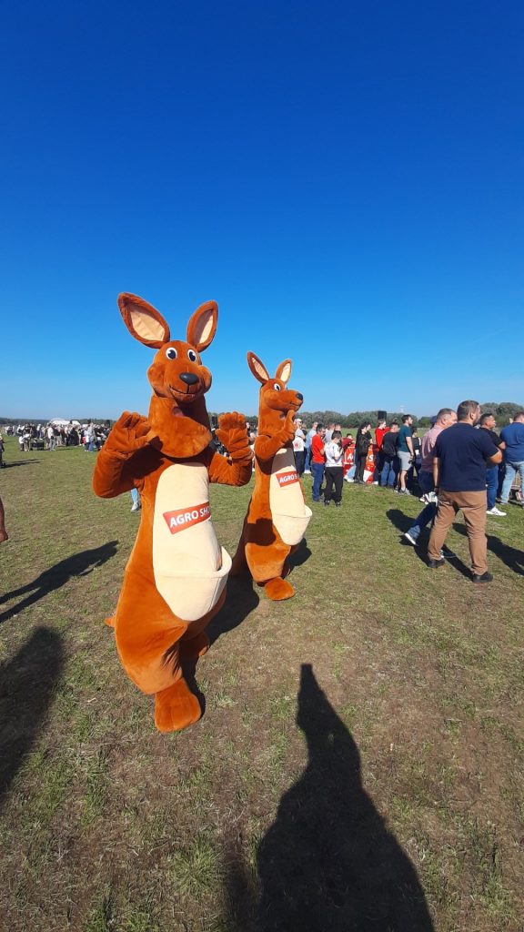 Maskotka Targów AGRO SHOW – kangurek Luluś