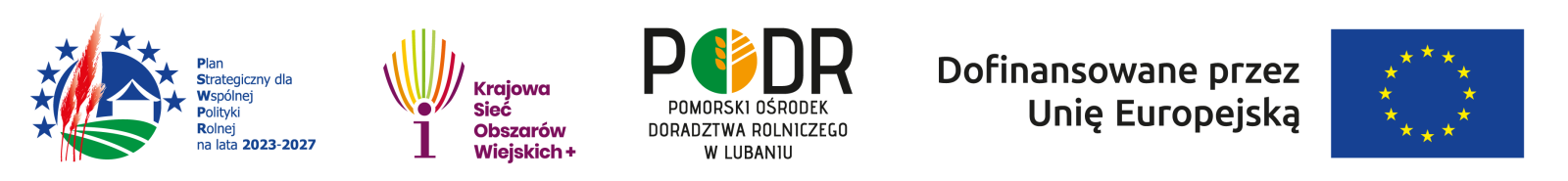 Pasek 4 logo poziom wzór_1