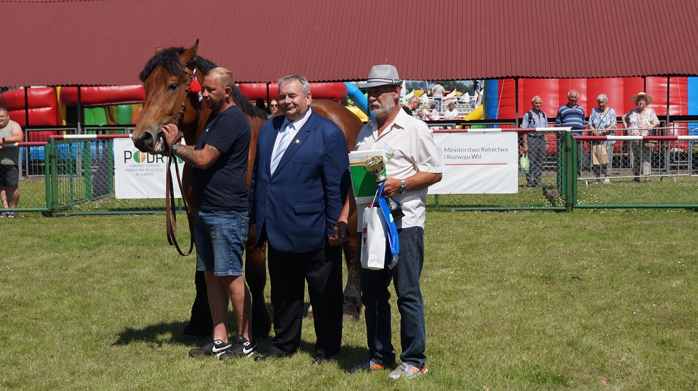 XXX Żuławskie Targi Rolne w Starym Polu - Wystawa Zwierząt 