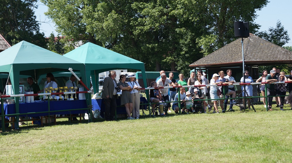 XXX Żuławskie Targi Rolne w Starym Polu - Wystawa Zwierząt 