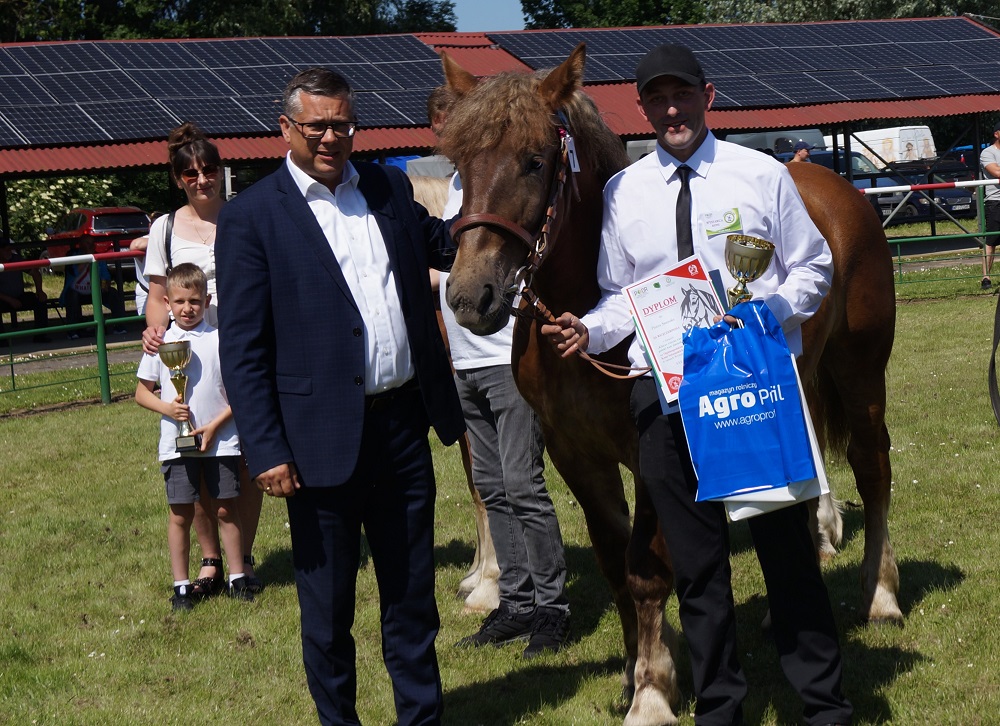 XXX Żuławskie Targi Rolne w Starym Polu - Wystawa Zwierząt 