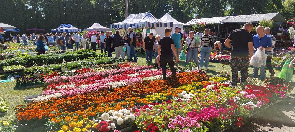 XXX Żuławskie Targi Rolne w Starym Polu - sektor ogrodniczy 
