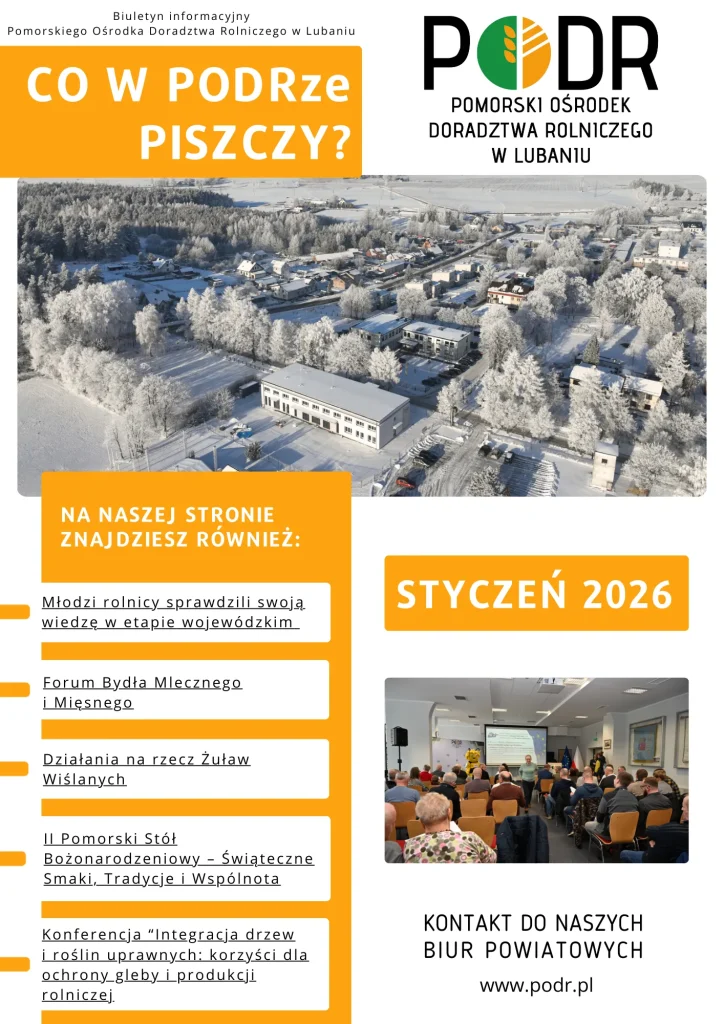 Miniatura okładki newsletteru "Co w PODRze piszczy?" - miesiąc styczeń 2026