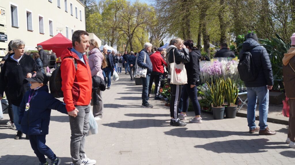 Tłum odwiedzających spacerujących alejką targową wśród stoisk z roślinami; w tle drzewa i namioty wystawców, słoneczna pogoda.