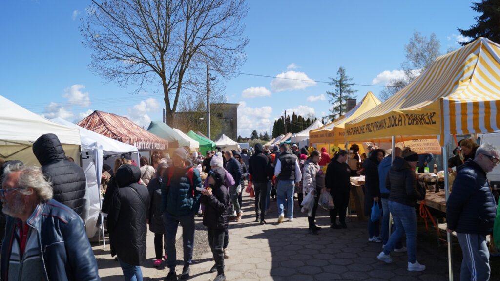 Panorama targów – alejka pełna ludzi między rzędami namiotów handlowych; w tle niebo z chmurami i drzewa.