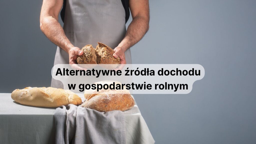 alternatywne źródła dochodu w gospodarstwie rolnym