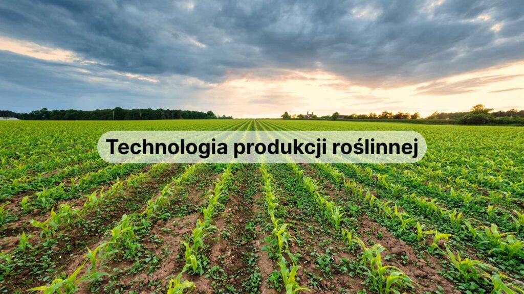 technologia produkcji roślinnej