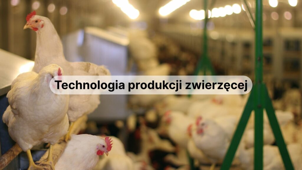 technologia produkcji zwierzęcej