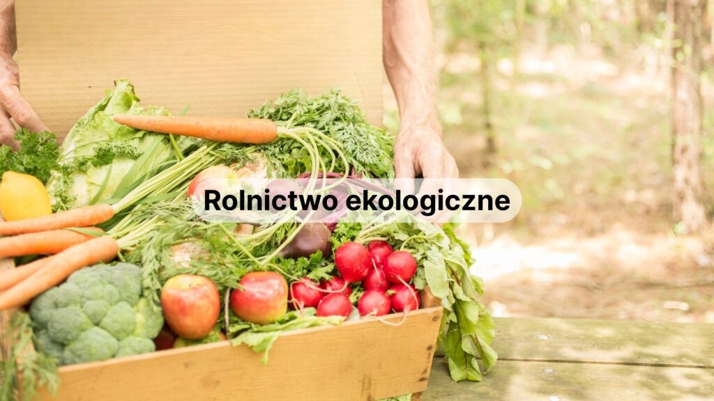 rolnictwo ekologiczne