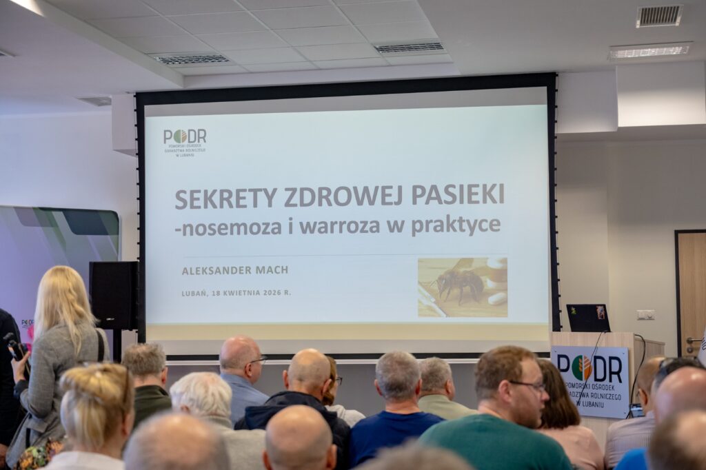 Sala konferencyjna w trakcie wykładu – prezentacja na ekranie i uczestnicy