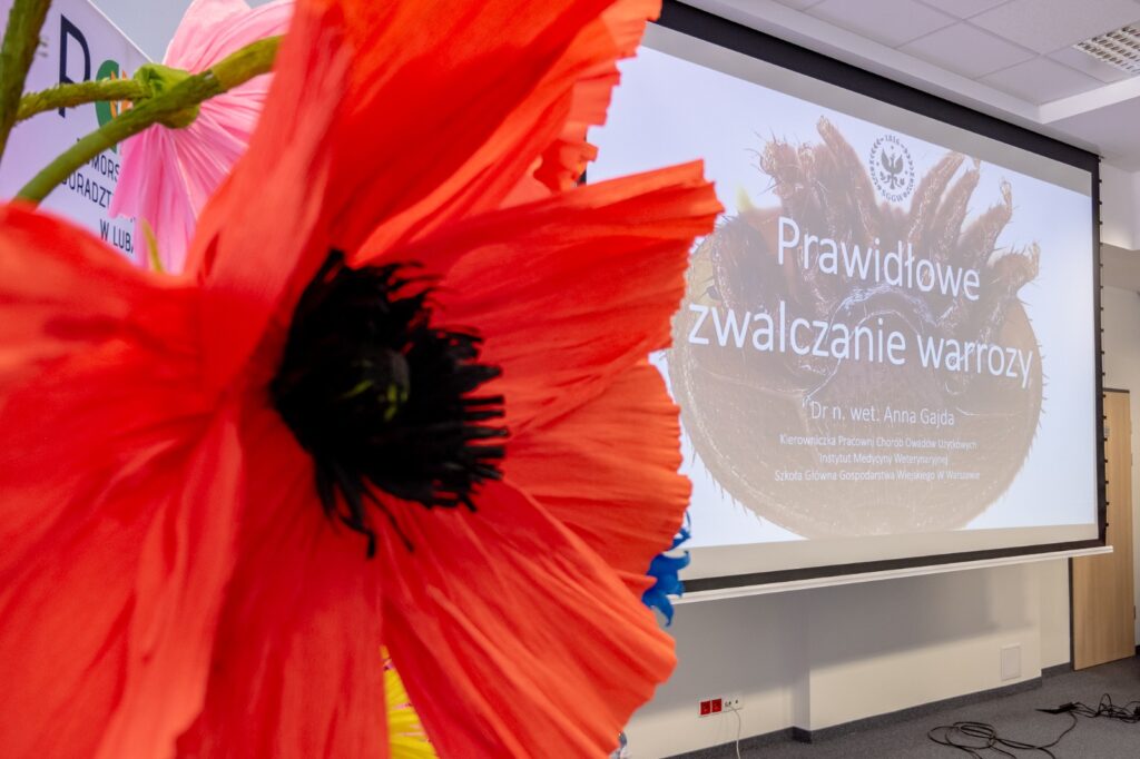 Zbliżenie na dekorację kwiatową