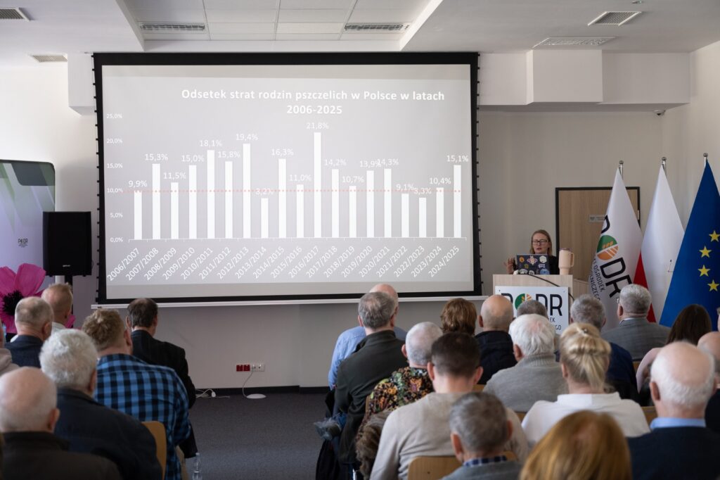 Prezentacja wyników na ekranie podczas wykładu