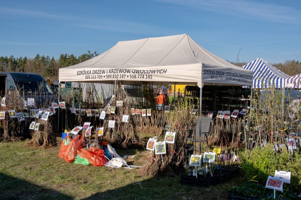 Stoisko z sadzonkami i materiałem szkółkarskim na terenie targów