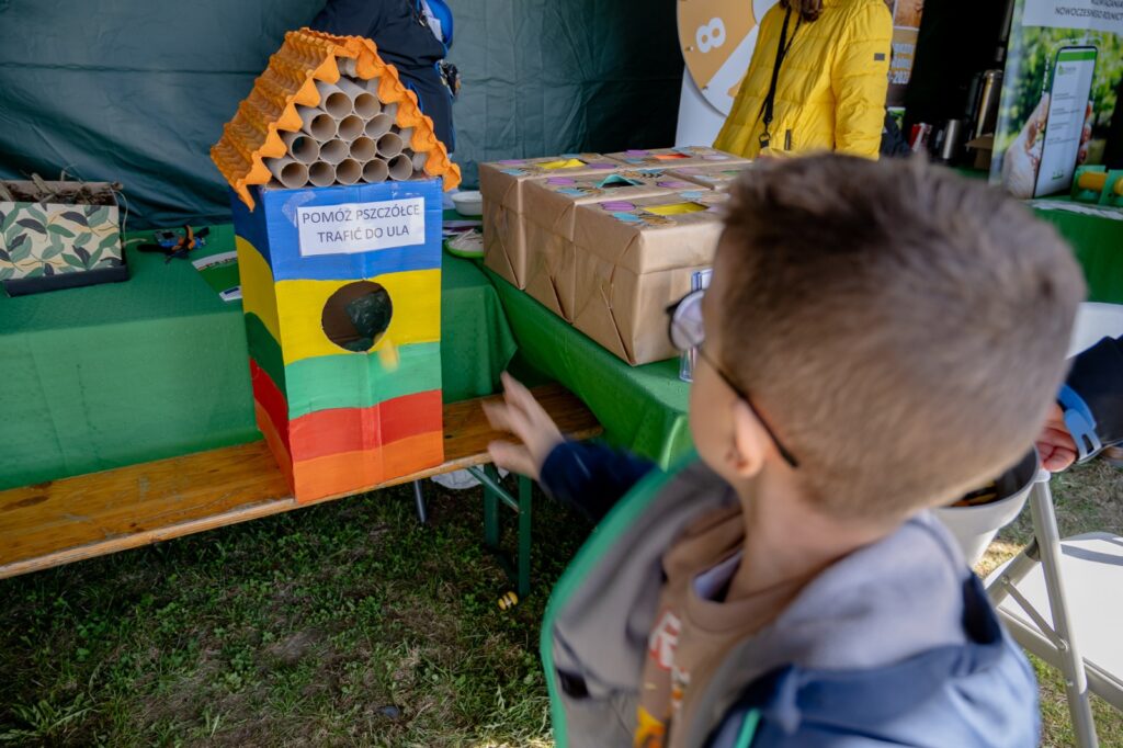 Dziecko przy edukacyjnej makiecie ula podczas gry