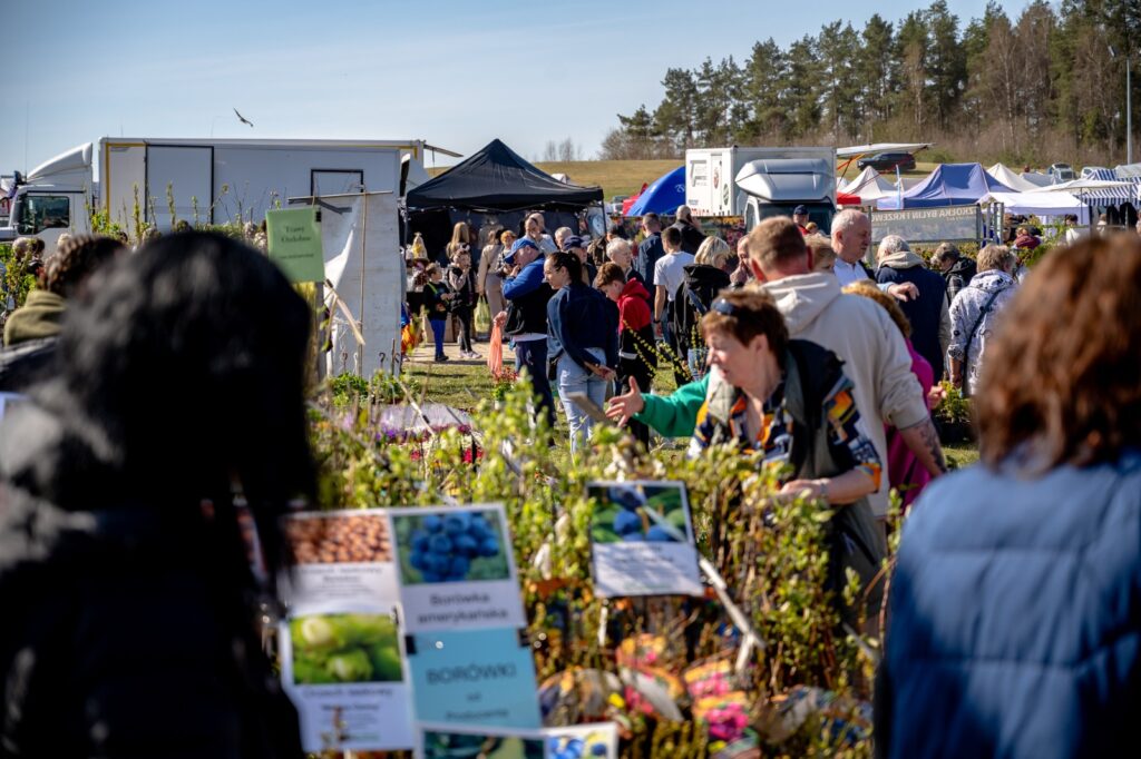Stoisko z roślinami ogrodniczymi oraz odwiedzający oglądający sadzonki
