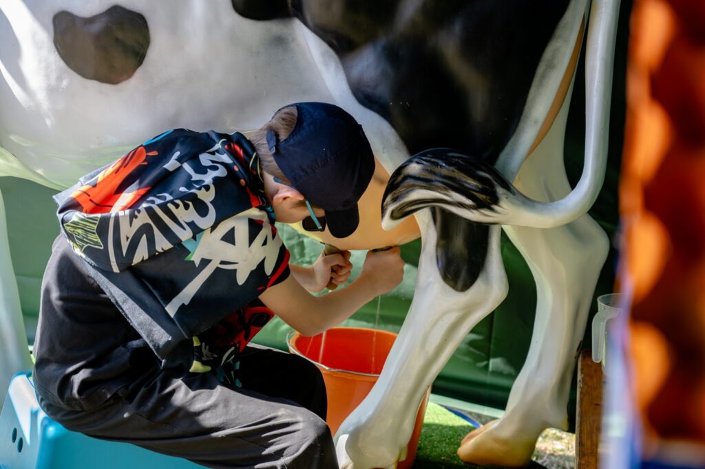 Uczestnik korzystający z symulatora dojenia krowy