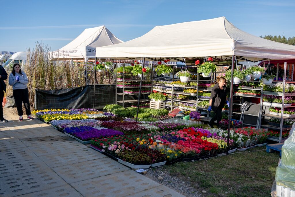 Stoisko z sadzonkami i materiałem szkółkarskim na terenie targów