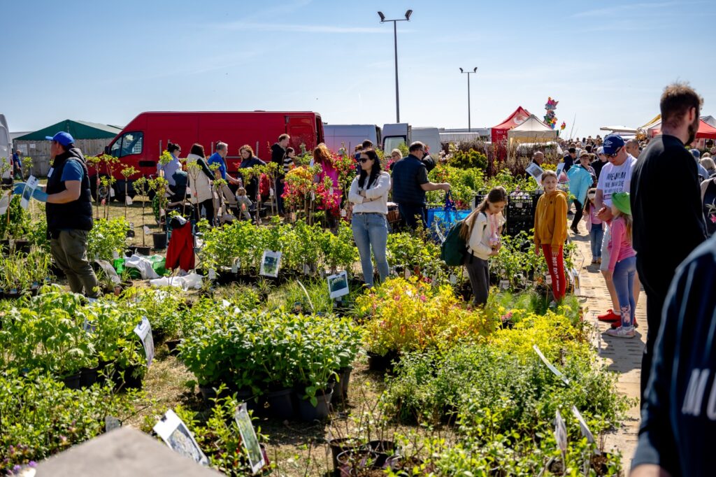 Ekspozycja roślin ogrodowych na otwartej przestrzeni targów