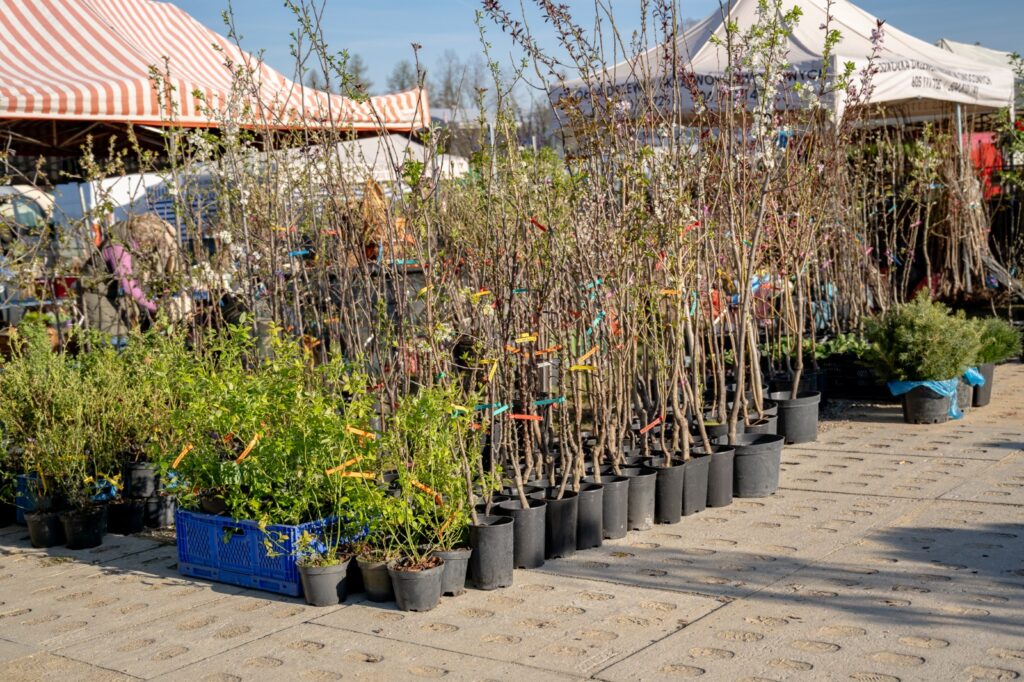 Stoisko z sadzonkami i materiałem szkółkarskim na terenie targów