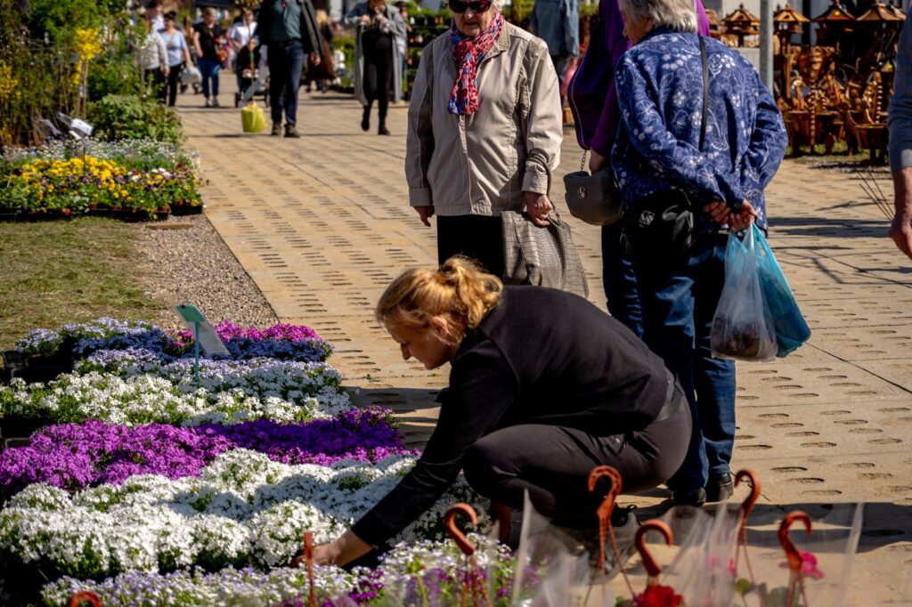 Uczestniczka wybierająca kwiaty spośród roślin wystawionych na sprzedaż