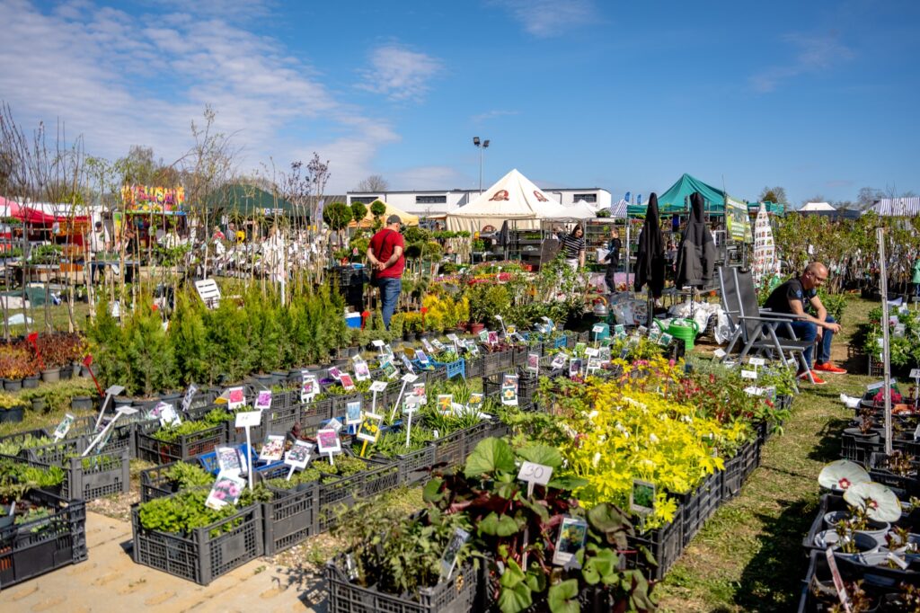 Ekspozycja roślin ogrodowych przygotowana dla odwiedzających