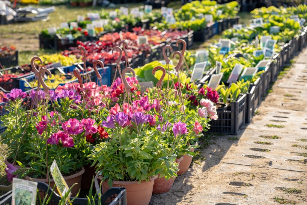 Stoisko z sadzonkami i materiałem szkółkarskim na terenie targów