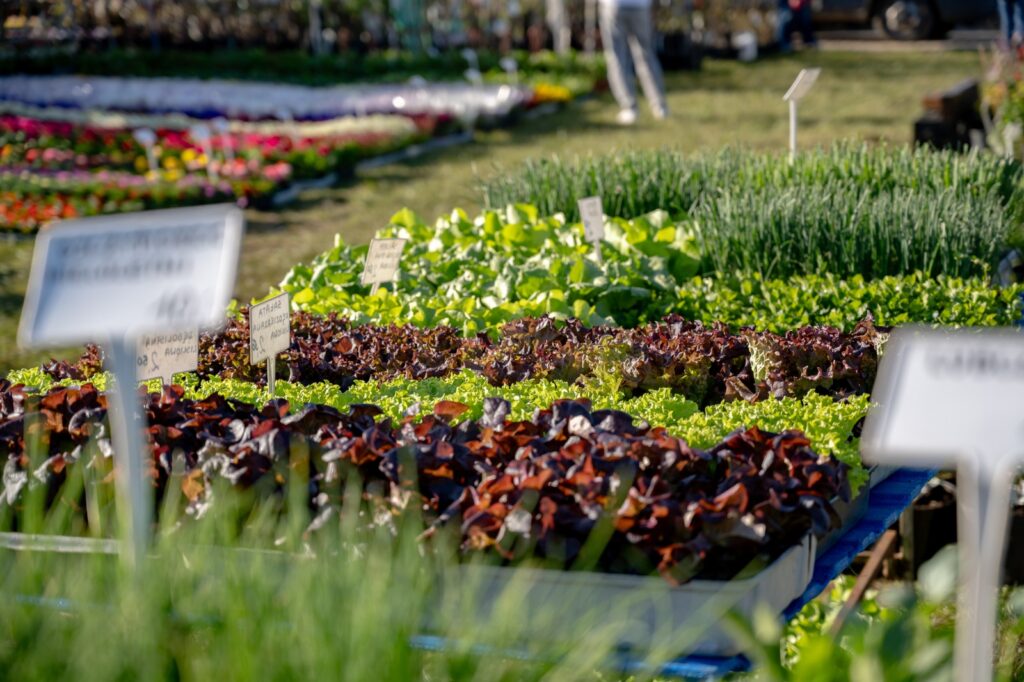 Stoisko z sadzonkami i materiałem szkółkarskim na terenie targów