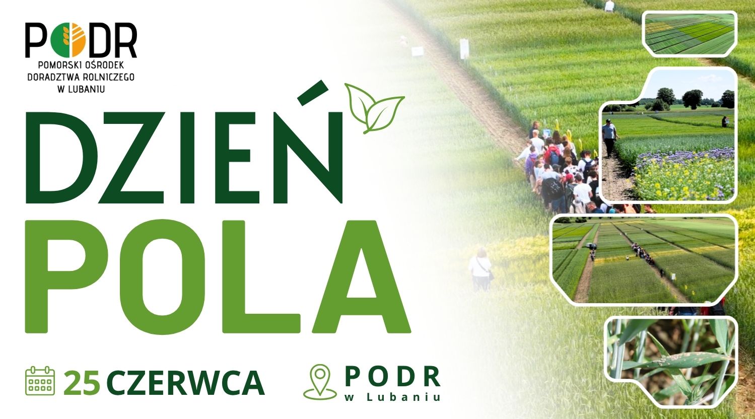 dzień pola 2026